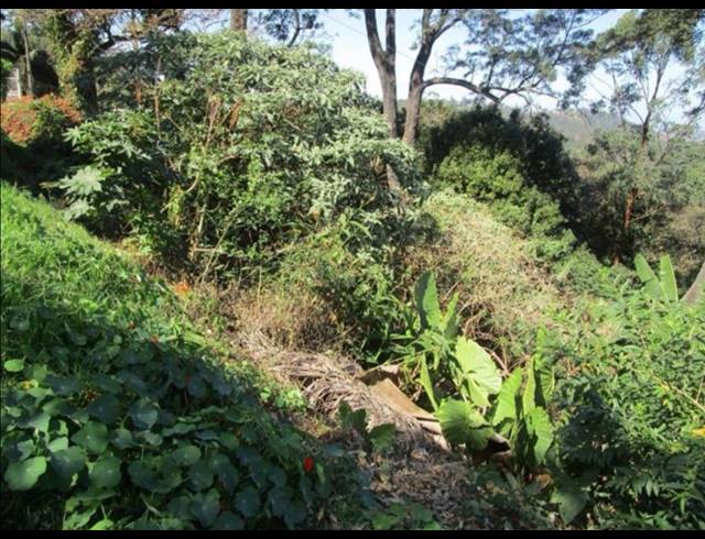 3,494M² VACANT LAND FOR SALE IN COWIES HILL